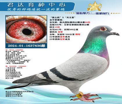 �𻷣�����������X�������ǡ�