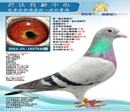 �𻷣��¡��Ǳ�Ӣ�ۺš�