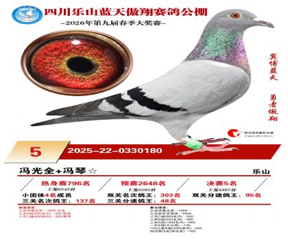 �Ĵ�����������5��