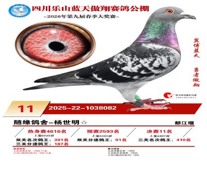 �Ĵ�����������11��