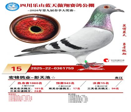 �Ĵ�����������15��