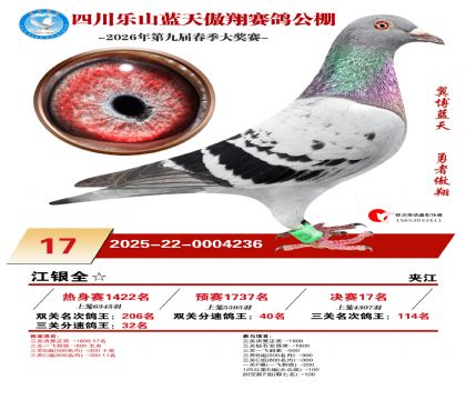 �Ĵ�����������17��