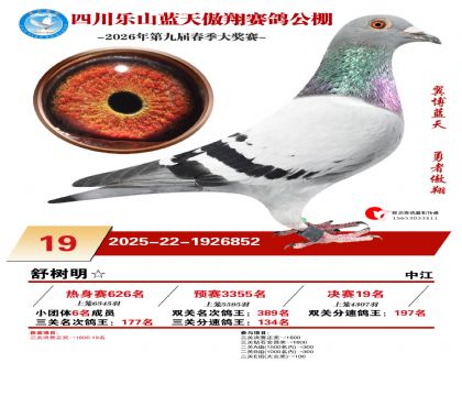 �Ĵ�����������19��