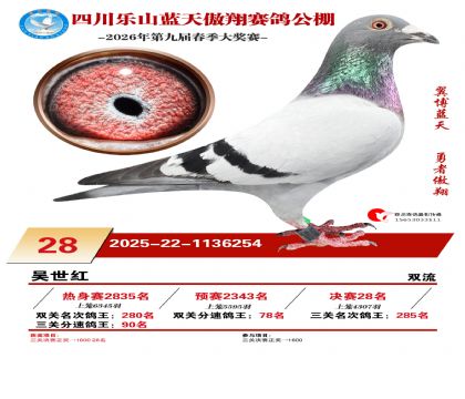 �Ĵ�����������28��