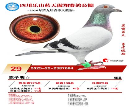 �Ĵ�����������29��