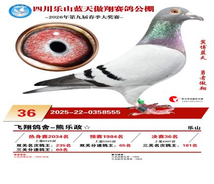 �Ĵ�����������36��