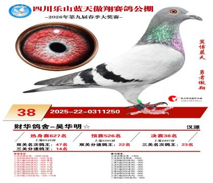 �Ĵ�����������38��