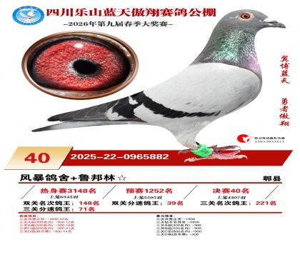 �Ĵ�����������40��