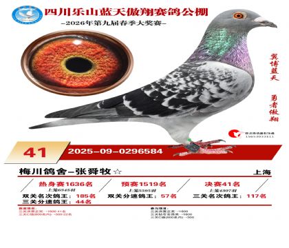 �Ĵ�����������41��