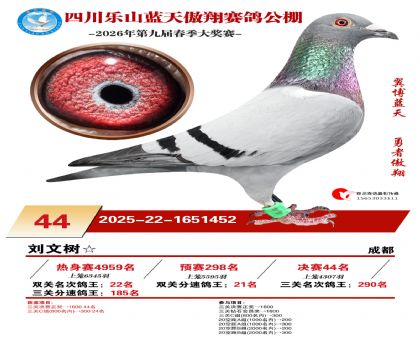 �Ĵ�����������44��