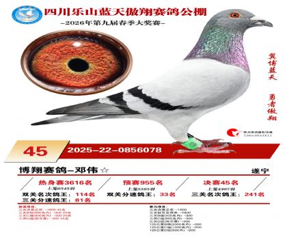 �Ĵ�����������45��