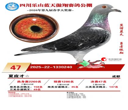 �Ĵ�����������47��