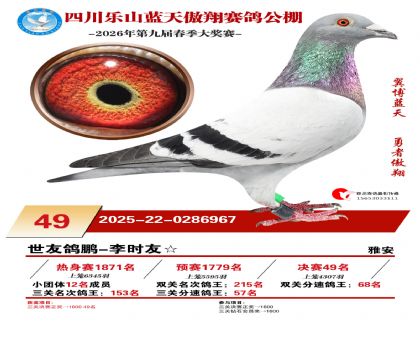 �Ĵ�����������49��