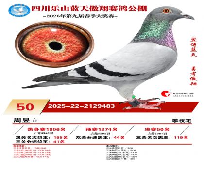 �Ĵ�����������50��