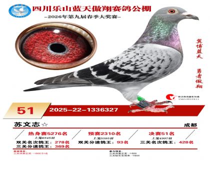 �Ĵ�����������51��