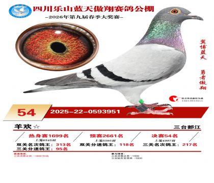 �Ĵ�����������54��