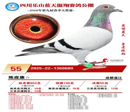 �Ĵ�����������55��