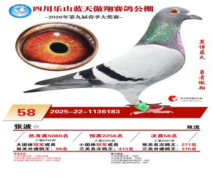 �Ĵ�����������58��