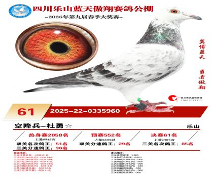 �Ĵ�����������61��