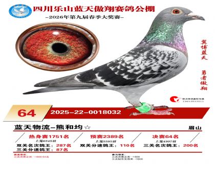 �Ĵ�����������64��