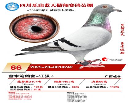 �Ĵ�����������66��