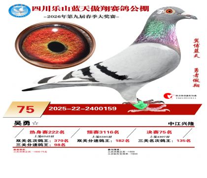 �Ĵ�����������75��