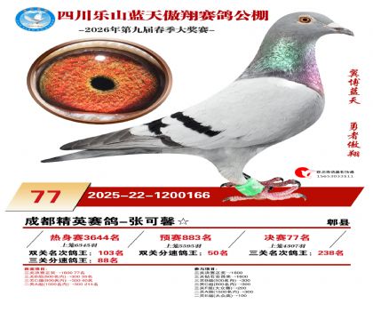 �Ĵ�����������77��