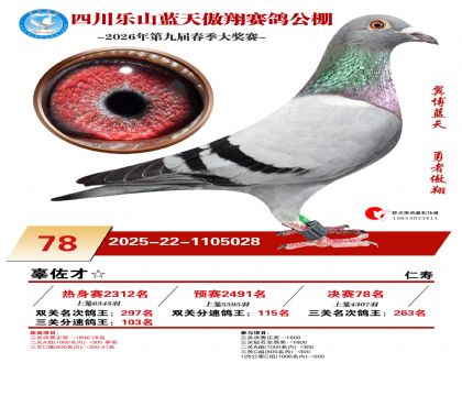 �Ĵ�����������78��