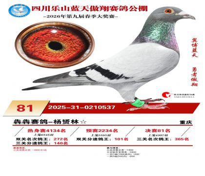 �Ĵ�����������81��