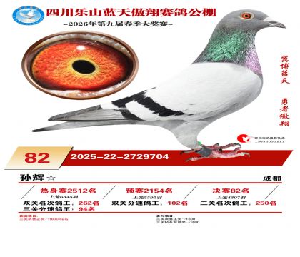 �Ĵ�����������82��