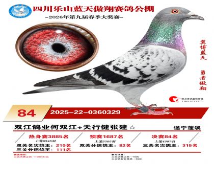 �Ĵ�����������84��