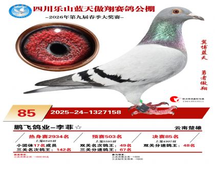 �Ĵ�����������85��