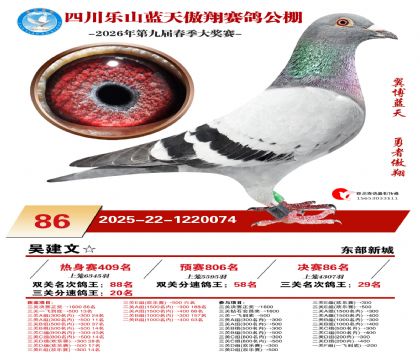 �Ĵ�����������86��