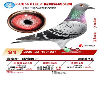 �Ĵ�����������91��