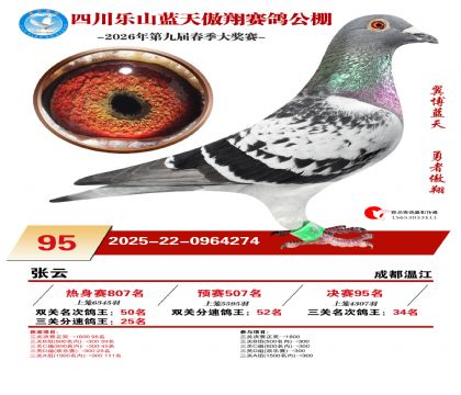 �Ĵ�����������95��