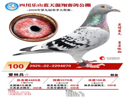 �Ĵ�����������100��