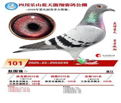 �Ĵ�����������101��