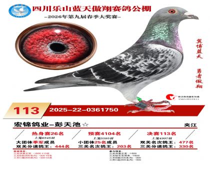 �Ĵ�����������113��