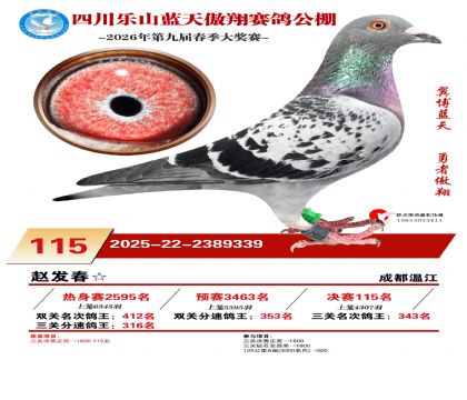 �Ĵ�����������115��