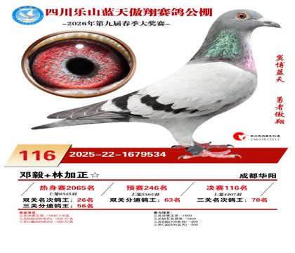 �Ĵ�����������116��