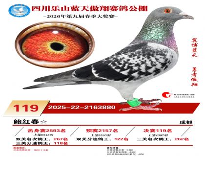 �Ĵ�����������119��