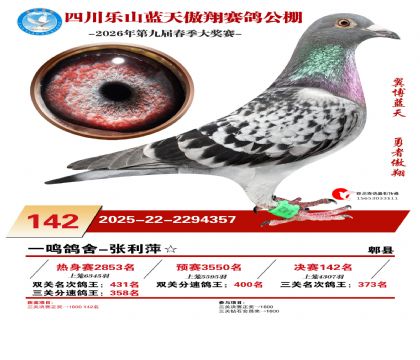 �Ĵ�����������142��