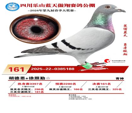 �Ĵ�����������161��