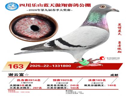 �Ĵ�����������163��