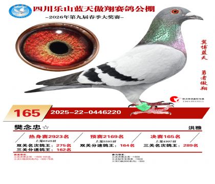 �Ĵ�����������165��