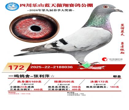 �Ĵ�����������172��