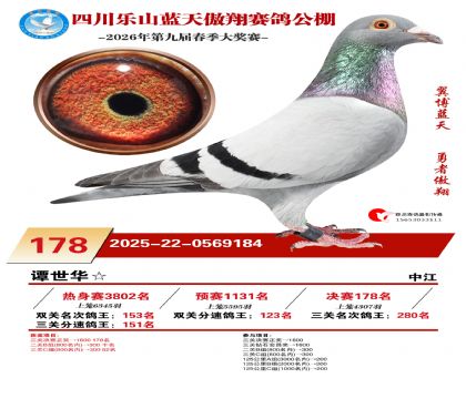 �Ĵ�����������178��