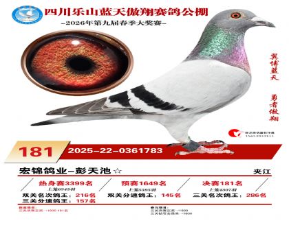 �Ĵ�����������181��