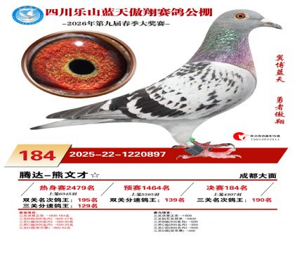 �Ĵ�����������184��