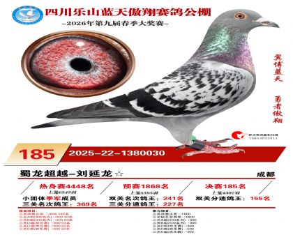 �Ĵ�����������185��